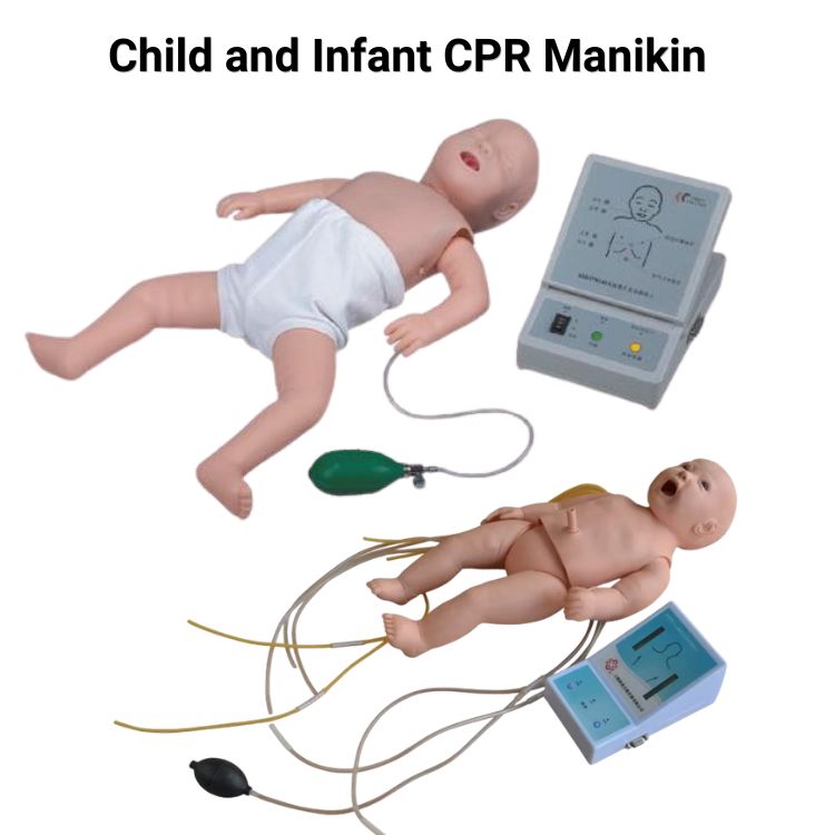 Medical Training Manikin: Complete Guide to CPR, Infant, Child & Delivery Simulation