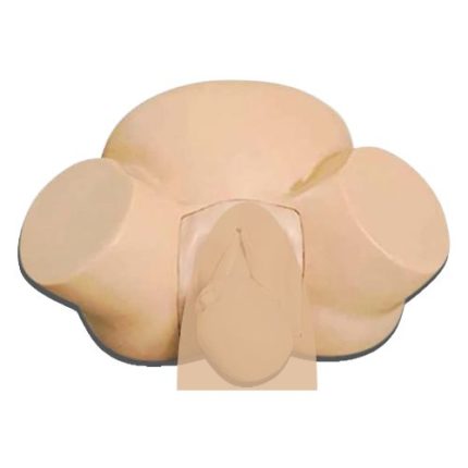 Delivery Simulator for realistic childbirth training in nursing colleges. Image of Aleef Surgical