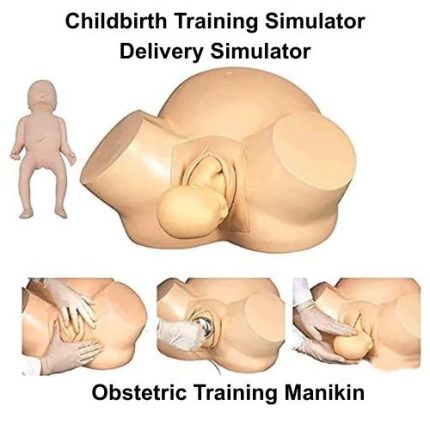 Delivery Simulator for realistic childbirth training in nursing colleges, medical institutions, hospitals, and healthcare simulation centers by Aleef Surgical.