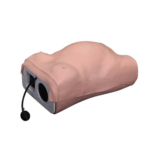 Advanced Maternity Model-XC 412 in Bangladesh-Aleefsurgical.com-jpg Maternity Examination Simulator Price in BD, Image of Aleef Surgical
