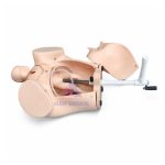 Birthing Simulator-Model of Course of Delivery Price in BD, Image of aleefsurgical.com